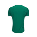 CAMISA DO PALMEIRAS 25/26 VERDE